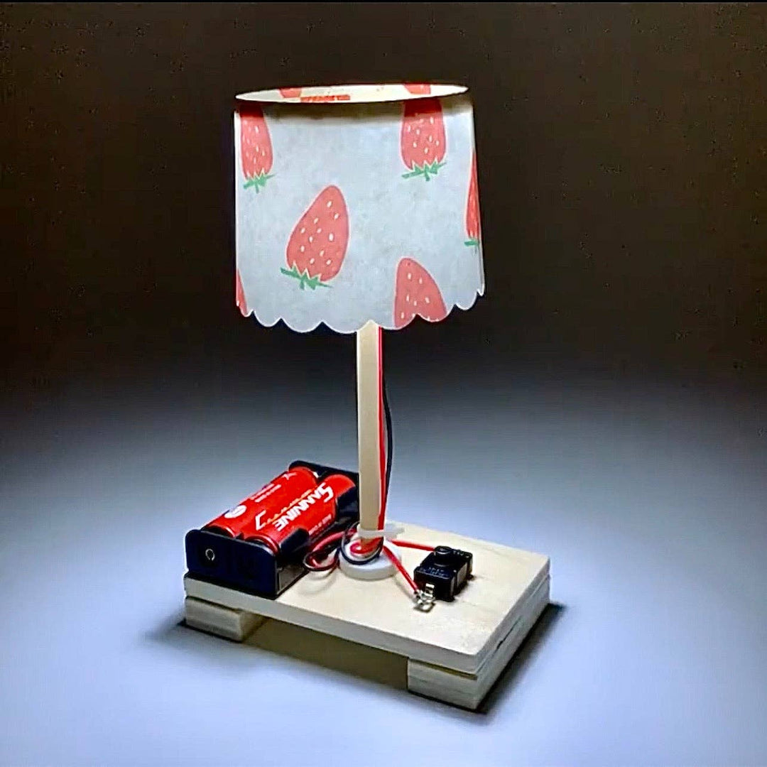 DIY Lamp - STEM Experiment Kit - Build  A Working Lamp