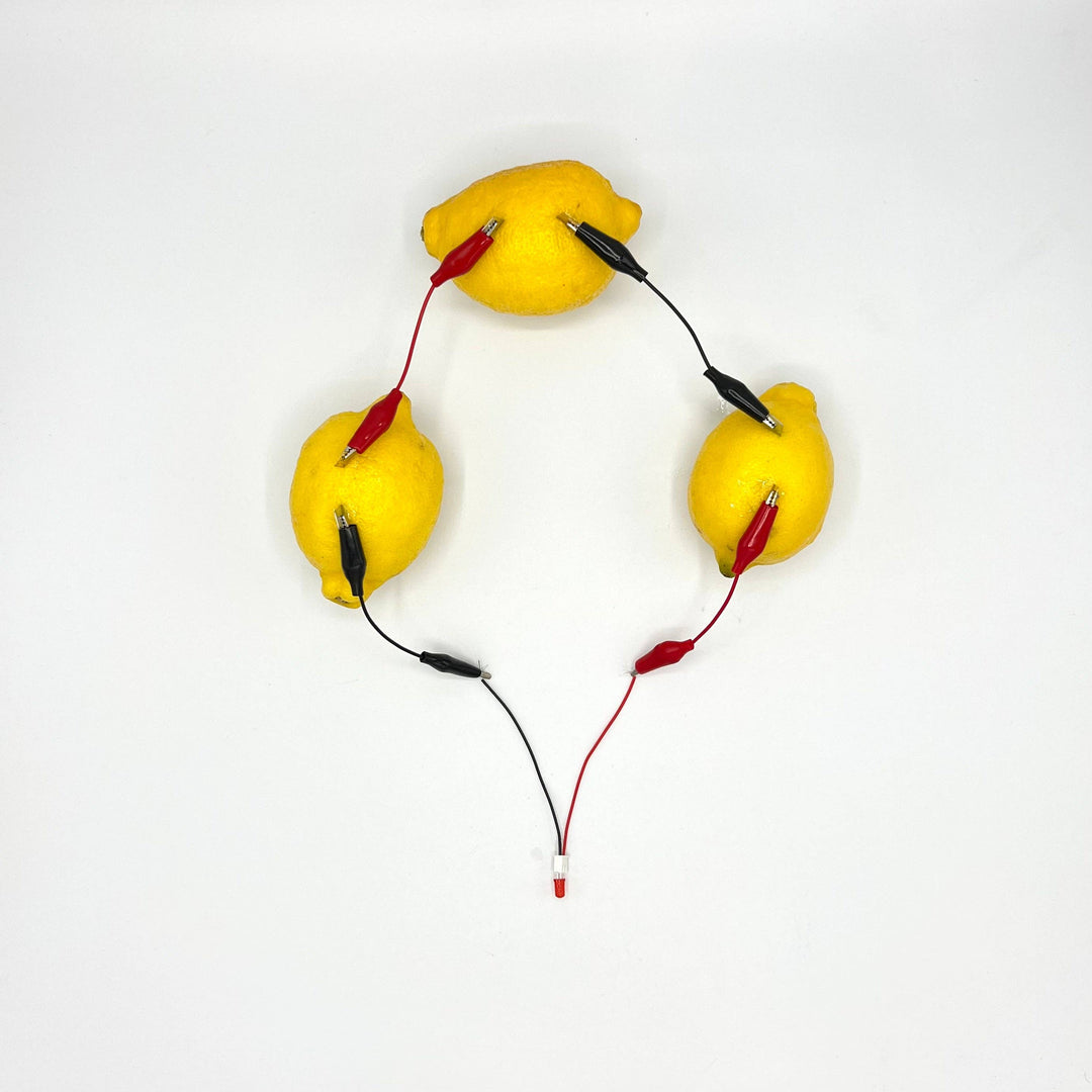 Lemon Electricity - STEM Experiment Kit - Make Electricity With Food