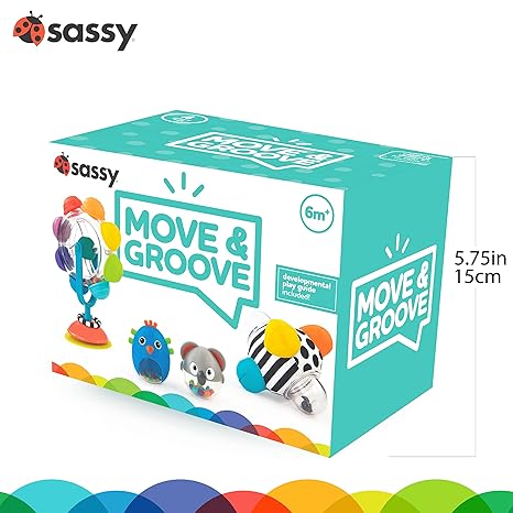 MOVE & GROOVE BABY BOX 6+MO NR