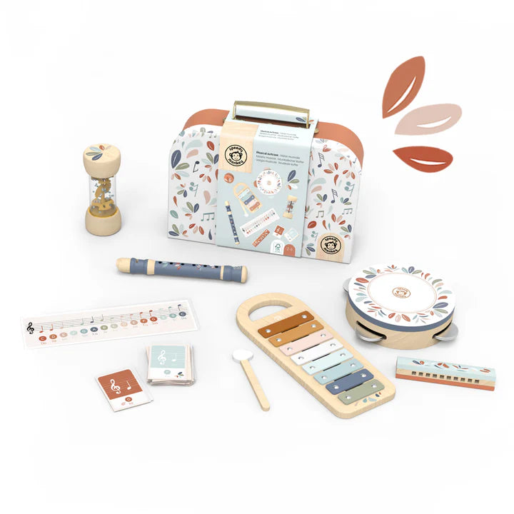 MUSICAL SET 5 INSTRUMENTS